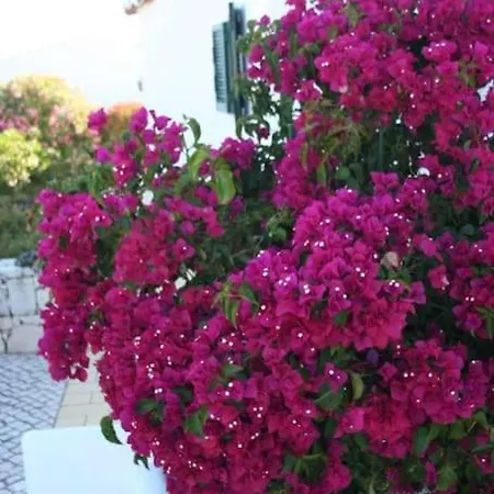 别墅 Eira Dos Moinhos